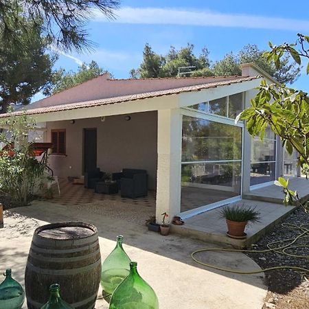 B&B Montedarena Pulsano Εξωτερικό φωτογραφία