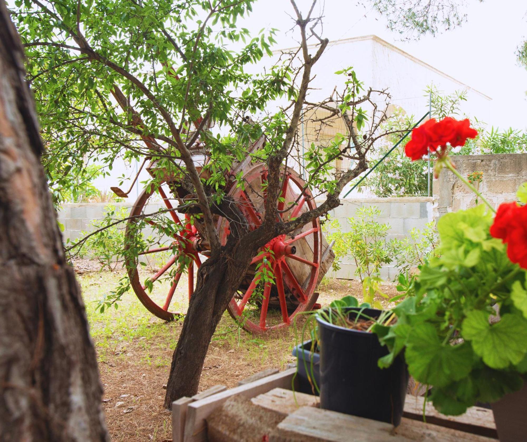 B&B Montedarena Pulsano Εξωτερικό φωτογραφία