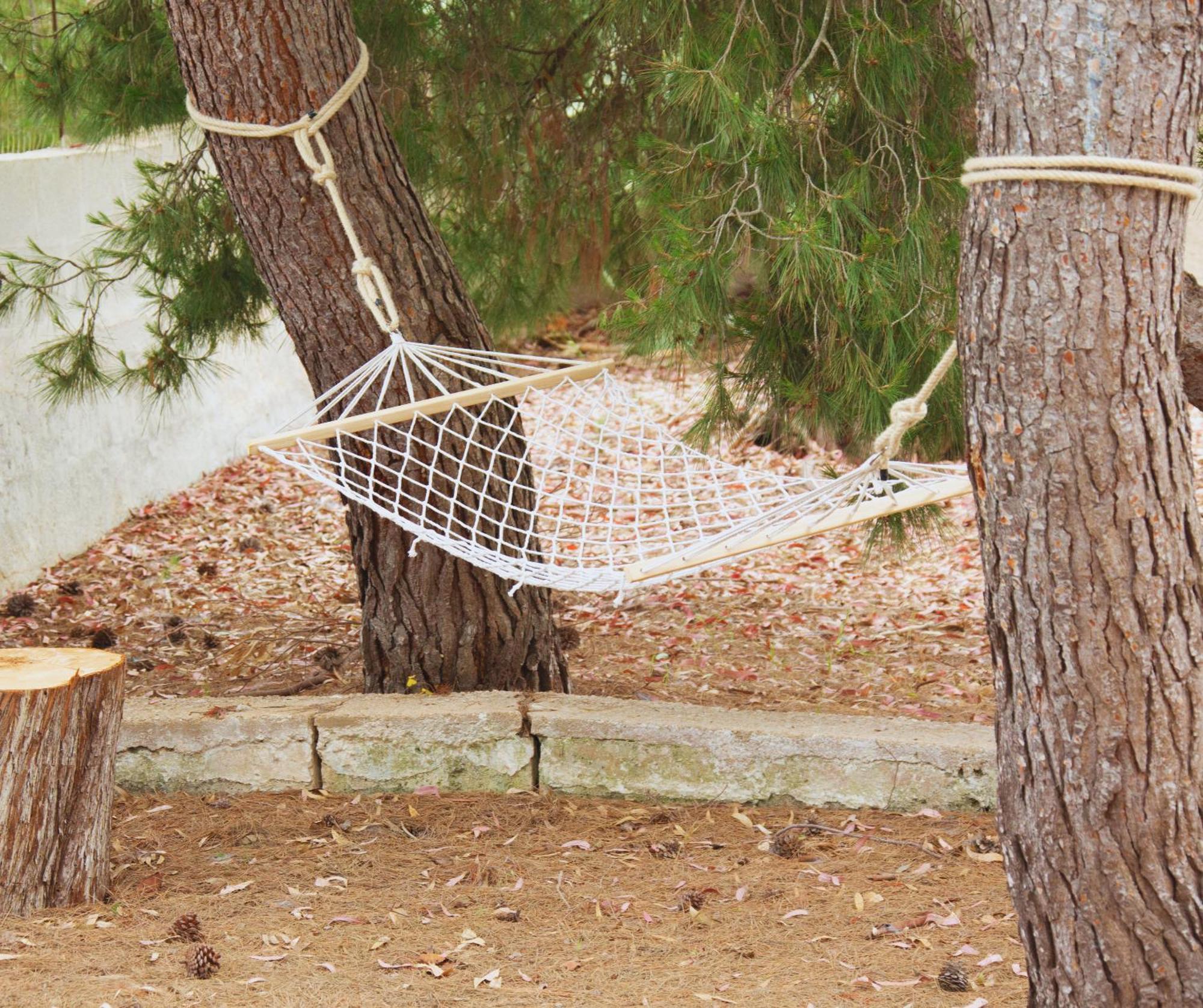 B&B Montedarena Pulsano Εξωτερικό φωτογραφία